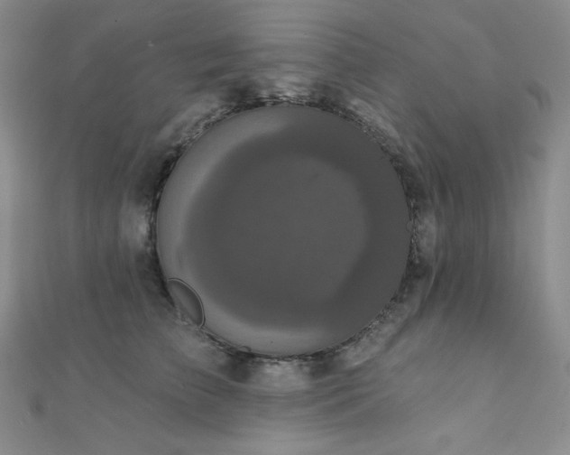 X0000112000709200908031229