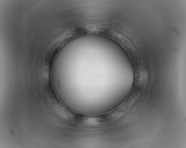 X0000112000710200908031229