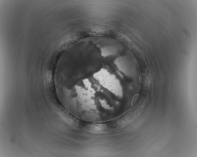 X0000112000711200908031229