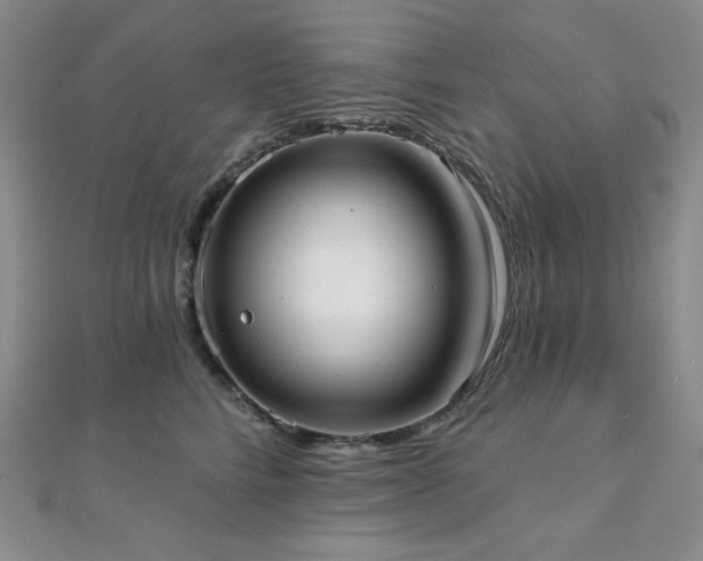 X0000112000712200908031229