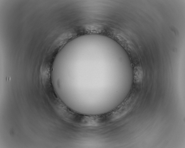 X0000112000713200908031229