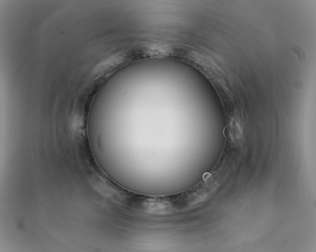 X0000112000714200908031229