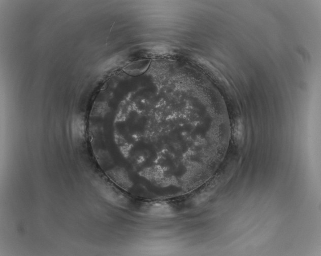 X0000112000715200908031229