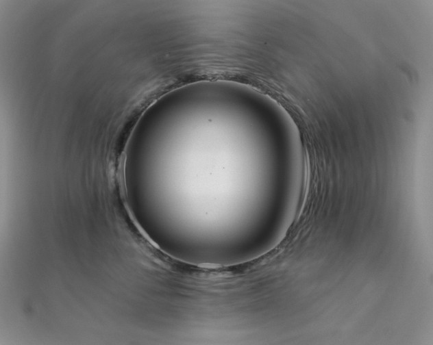 X0000112000716200908031229