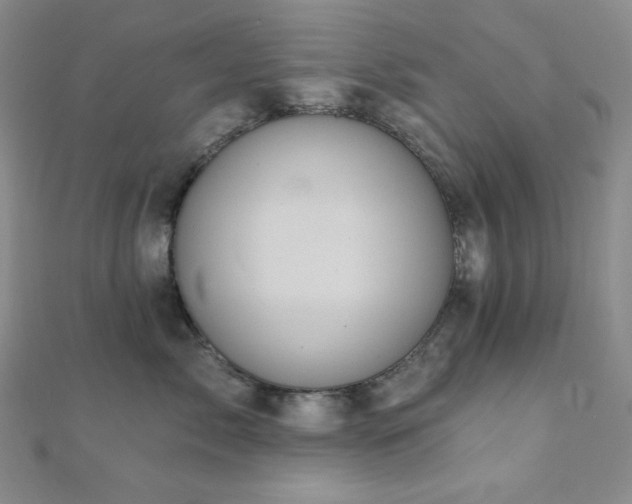 X0000112000717200908031229