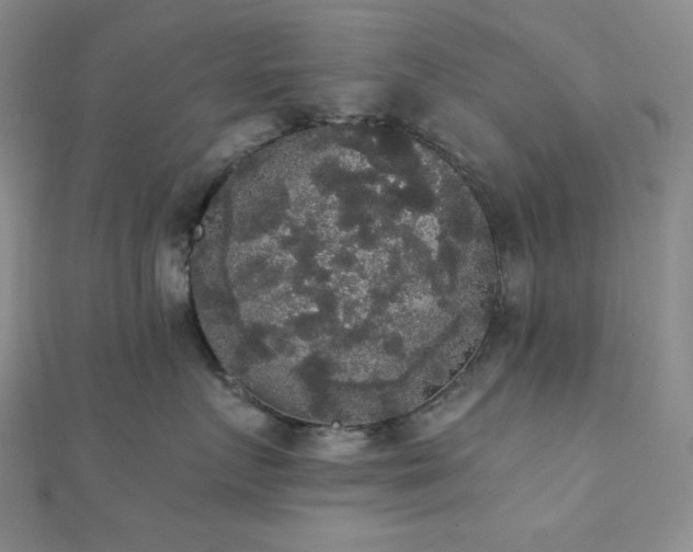 X0000112000719200908031228