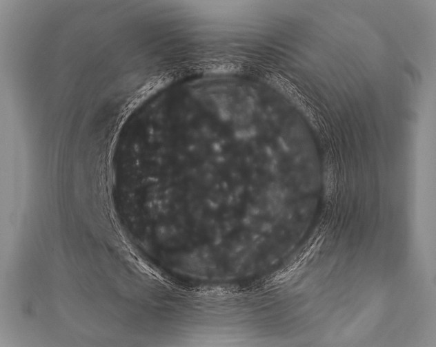 X0000112000721200908031228