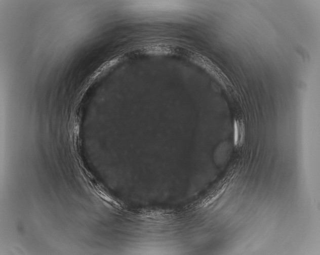 X0000112000723200908031228