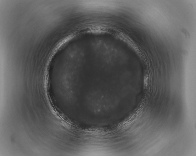 X0000112000724200908031228