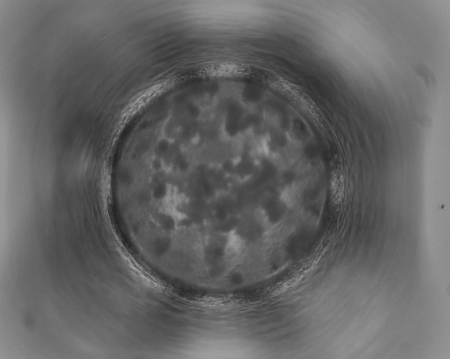 X0000112000725200908031228