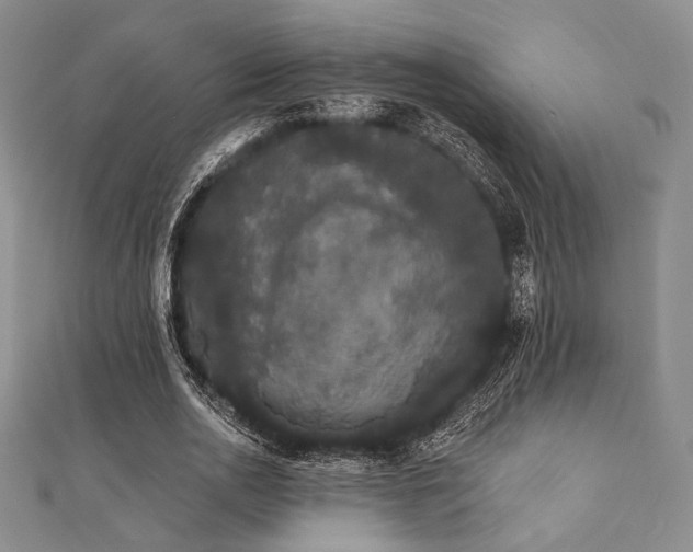 X0000112000726200908031228