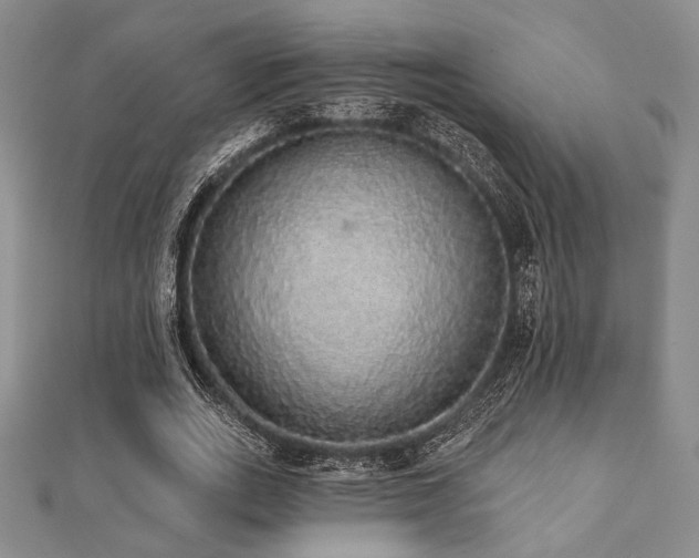 X0000112000727200908031228