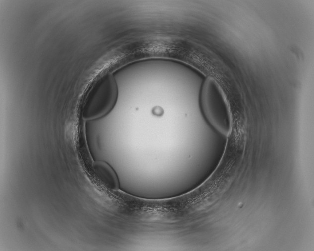 X0000112000728200908031228