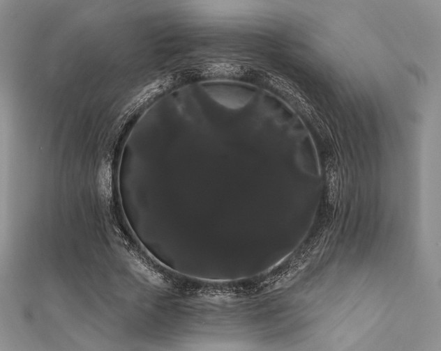 X0000112000729200908031228