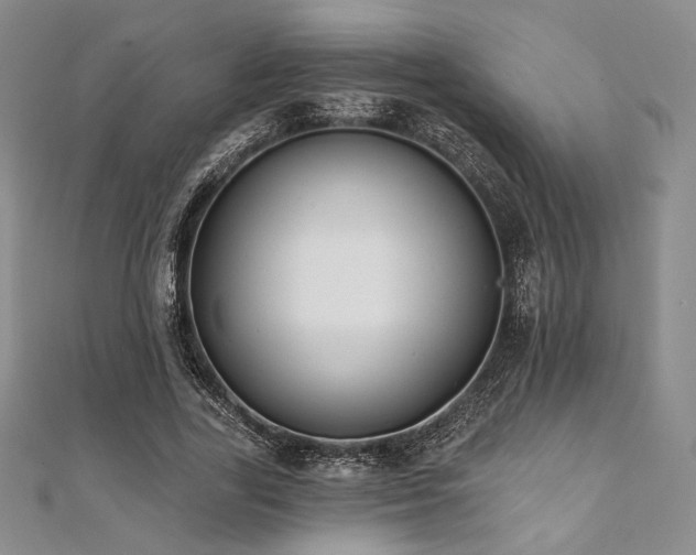 X0000112000731200908031228