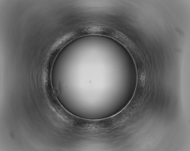 X0000112000732200908031228