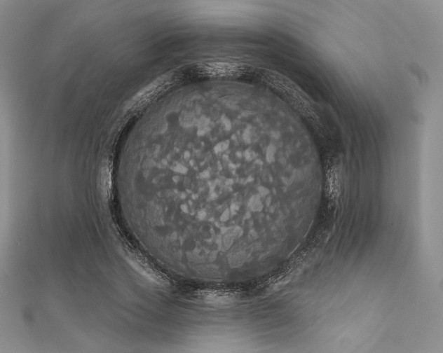 X0000112000733200908031228