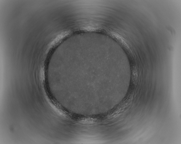 X0000112000734200908031228