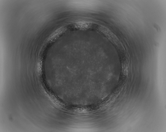 X0000112000735200908031228