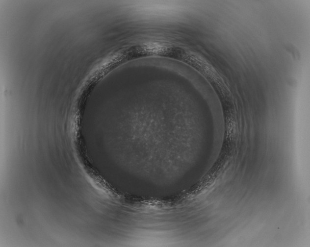 X0000112000736200908031228