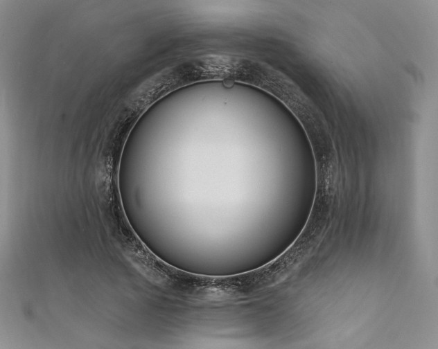 X0000112000737200908031228