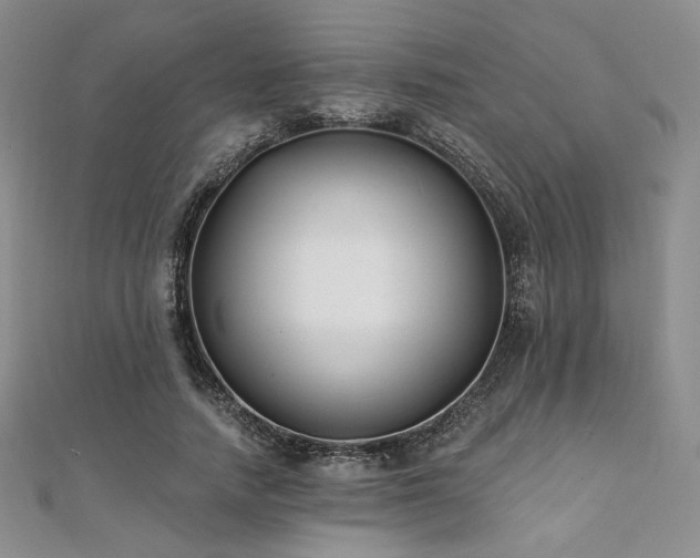 X0000112000738200908031228