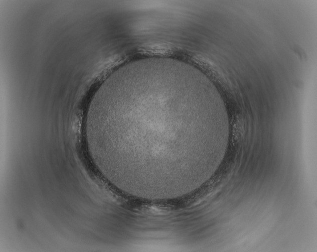 X0000112000739200908031228