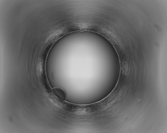 X0000112000740200908031228