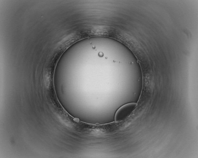 X0000112000741200908031228