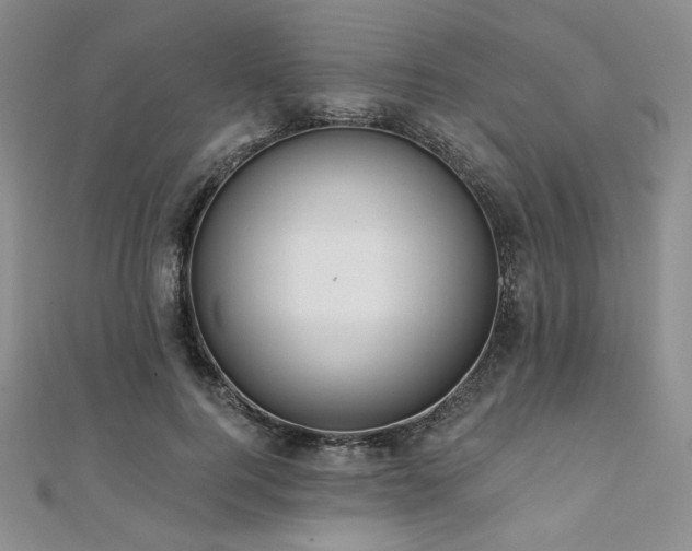 X0000112000744200908031228