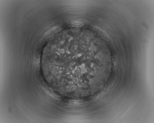 X0000112000745200908031228