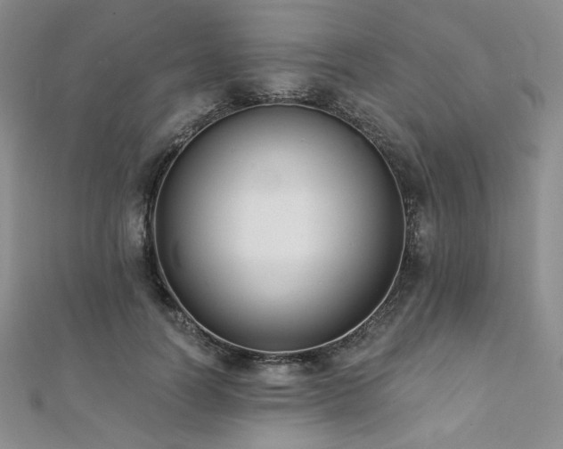 X0000112000746200908031228