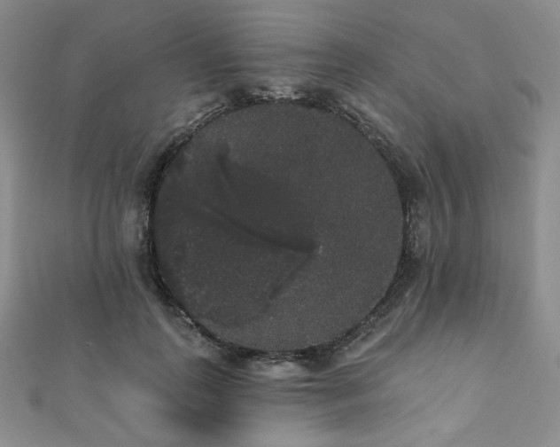 X0000112000747200908031228