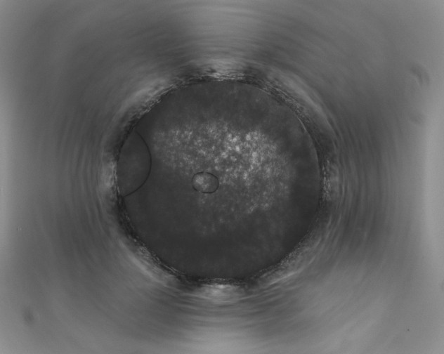 X0000112000748200908031228