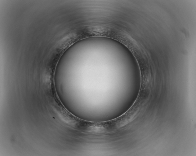 X0000112000749200908031228