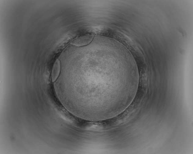 X0000112000750200908031228