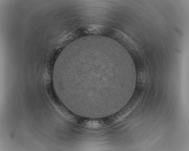 X0000112000751200908031228