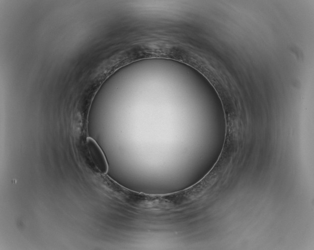 X0000112000752200908031228