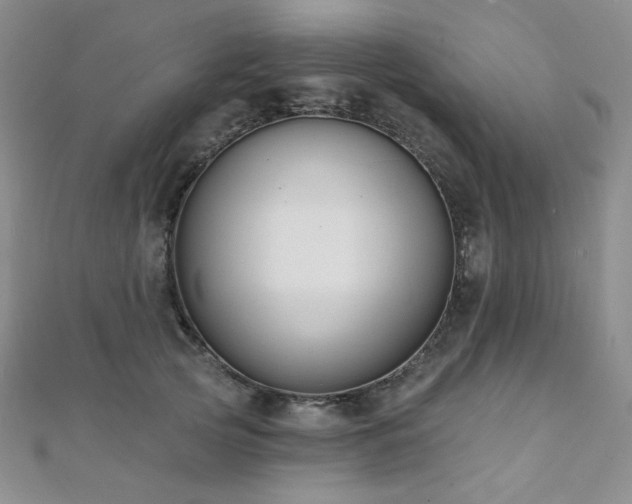 X0000112000753200908031228