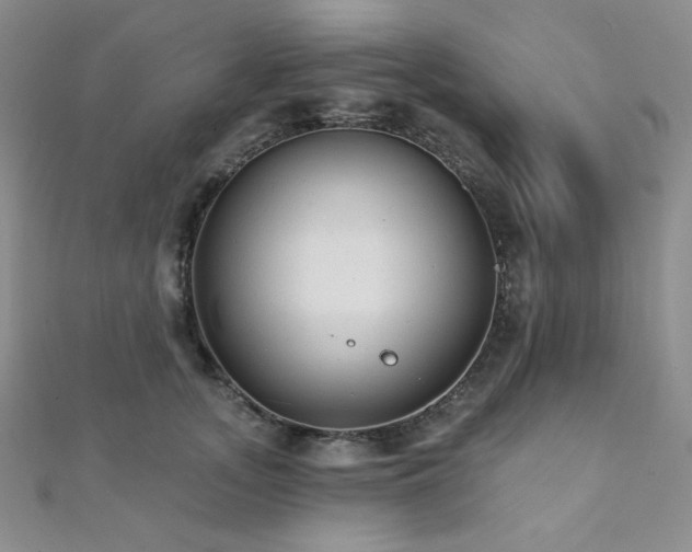 X0000112000755200908031228