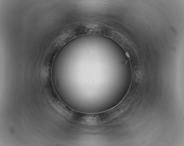 X0000112000756200908031228