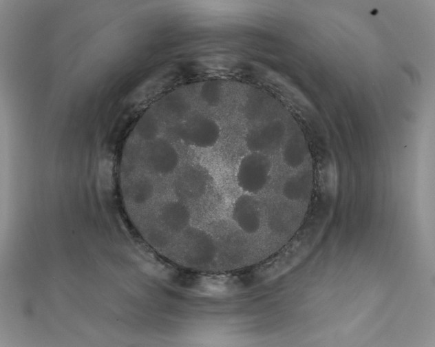 X0000112000757200908031228