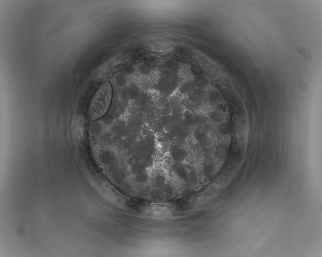 X0000112000758200908031228