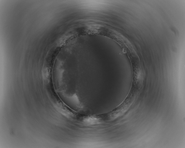 X0000112000759200908031228