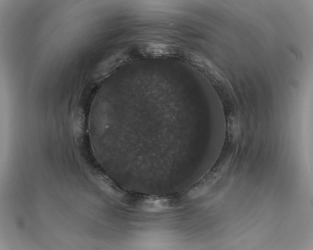 X0000112000760200908031228