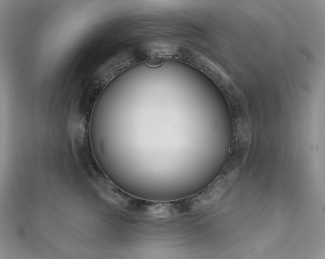 X0000112000761200908031228