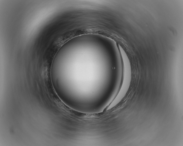 X0000112000762200908031228