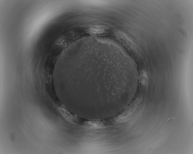 X0000112000763200908031228