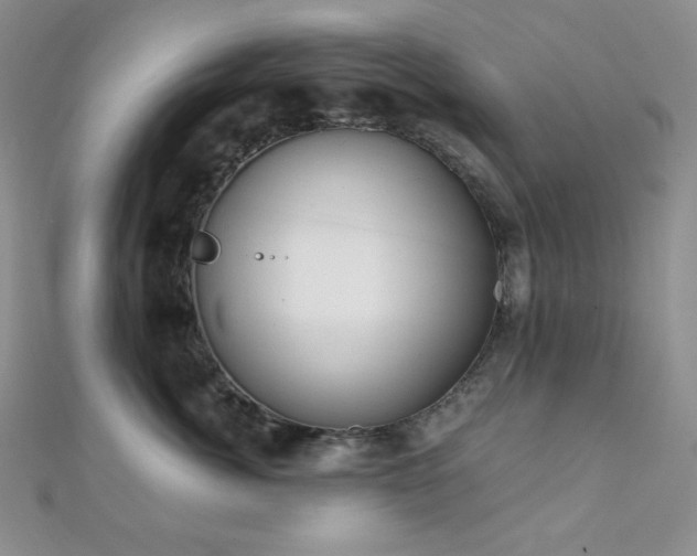 X0000112000764200908031228