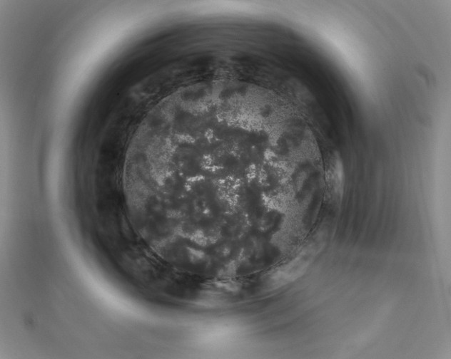 X0000112000765200908031228